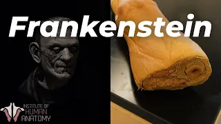 Can We Actually Build FRANKENSTEIN's Monster?