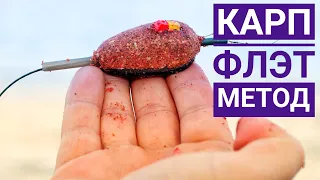 Одиночная РЫБАЛКА с ночёвкой в ТИХОМ и КРАСИВОМ месте. Ловля КАРПа на ФЛЭТ МЕТОД.