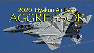 Dear Cobras・JASDF F-15DJ Eagles AGGRESSOR - ASMR