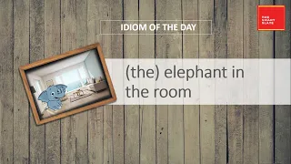 Vocab Shorts - (the) elephant in the room.