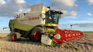 Lexion 560 - The Best Looking Claas Combine Ever? (4k)