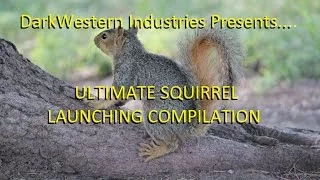 Ultimate Squirrel Launching Compilation