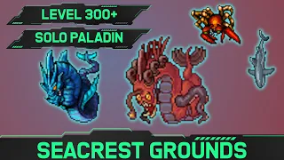 Seacrest Serpents - Solo Paladin Hunt  [300+]