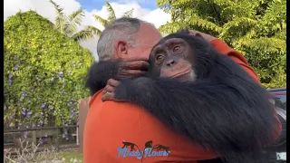 When we go see CHIMP LIMBANI from @zwfmiami Our forever big baby! ❤️❤️❤️❤️❤️❤️