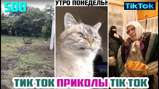 ТИК ТОК 2020 ПРИКОЛЫ СМЕШНЫЕ ВИДЕО СБОРНИК № 500 TIK TOK FUNNY VIDEO