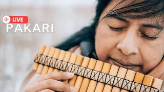 Pakari(Yupanki)- Andean Flute Instrumental Love Songs