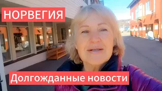 ЗАБРАЛИ В ПОЛИЦИЮ . УКРАИНКА В НОРВЕГИИ🇸🇯