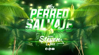 MIX PERREO SALVAJE INTENSO 2023 | DJ STEVEN LOPEZ