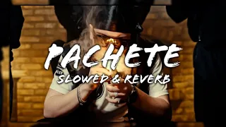 M.G.L. - PACHETE (Slowed + Reverb)