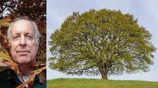 Doug Tallamy: The Nature of Oaks