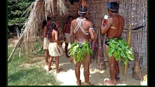 Amazonas: Responsabilidad de defensa continental