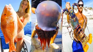 Fishing Videos - Catching Seafood Include Fish, Crab, Octopus #91 - Tik Tok