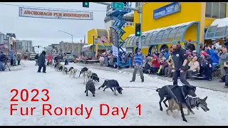 Fur Rondy Day #1 Start - 17 Mushers on 4th Ave in Anchorage Alaska - Alaskan Husky Sprint Sled Dogs