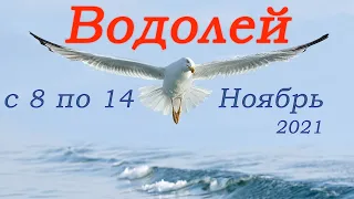 Водолей Таро прогноз с 8 по 14 ноября 2021