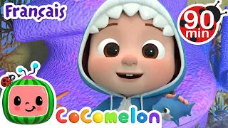 Bébé requin (cache-cache) | Chansons pour Bébés | CoComelon Le coin des Animaux de JJ - Comptines