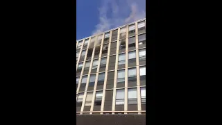 WATCH: Cat makes death-defying jump from 5th floor of burning building – and survives