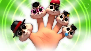 松鼠手指家庭| 给孩子们的歌曲 手指家庭歌曲| 小孩押韵 | Squirrel Finger Family | Nursery Song | Rhyme For Children