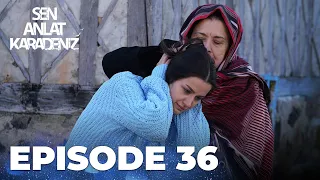 Sen Anlat Karadeniz | Lifeline - Episode 36