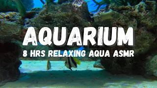 Aquarium Background Ambience: Relax And Enjoy The Underwater World