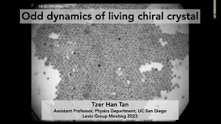 Odd Dynamics of Living Chiral Crystal