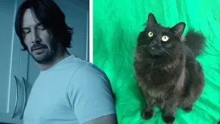 OwlKitty Behind The Scenes (John Wick)