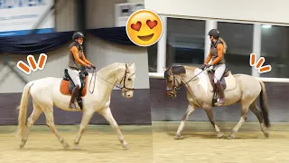 Eindelijk beide paarden weer trainen! Nacho vond dit heel raar! | felinehoi VLOGMAS #515