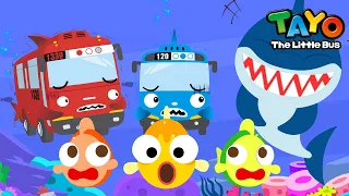 Sand Tiger Shark Song l Animal Songs for Kids l Learn Sea Animals with Tayo the Little Bus