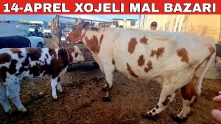 14-АПРЕЛЬ/ХОЖЕЛИ МАЛ БАЗАРЫ/СКОТНЫЙ РЫНОК/BUQALAR/BIG BULLS IN THE WORLD/BIG COW