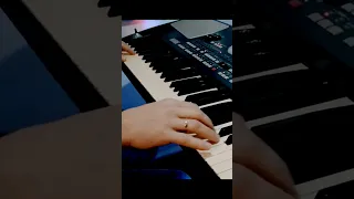 Fancy - Flames of love / KORG PA500 cover