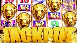 ★ MASSIVE JACKPOT! ★ MY BIGGEST HANDPAY BUFFALO GOLD | Slot Traveler