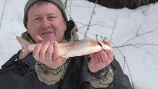 ПОДЛЕДНАЯ РЫБАЛКА НА ХАРИУСА И ЛЕНКА/ ОТЛИЧНЫЙ ВЕСЕННИЙ КЛЕВ И УЛОВ. ДВА ДНЯ В ТАЙГЕ/ ЧАСТЬ 1