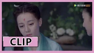 【三生三世枕上书 Eternal Love of Dream】EP54 Clip 凤九误会帝君不要她了，又被折颜查出怀有身孕，忍不住崩溃大哭！