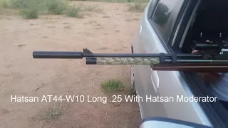 Hatsan AT44-W10 LONG .25 Cal Test Moderator Suppressor Silencer Air Rifle Gun Botswana Bush 2020