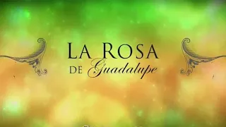 La Rosa de Guadalupe: "El tropiezo" (1/4)