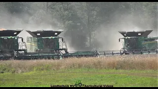 John Deere - Massey Ferguson / Getreideernte - Grain Harvest  2022  The Wohle Story