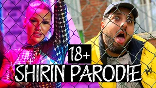 SHIRIN DAVID - Ich darf das ( PARODIE ) by DANERGY