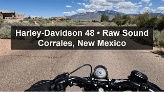 Harley-Davidson 48 • Raw Sound • Corrales, New Mexico • #4