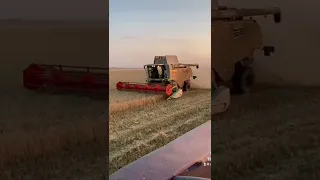 Horsch Maestro 16