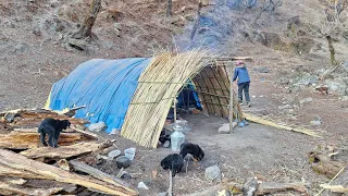 This is Himalayan Life | Best Compilation Video in Shepherd Life with Winter Season | Nepal |Ep- 215