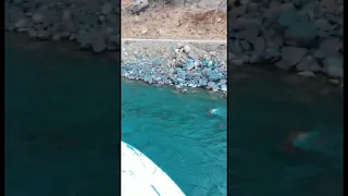 The river coming from india to pakistan