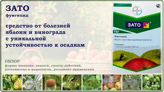 Зато - средство от болезней яблони, груши и винограда с уникальной устойчивостью к осадкам. Обзор