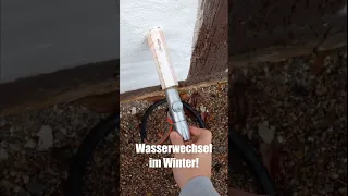 Regelmäßig: Wasserwechsel im Winter!