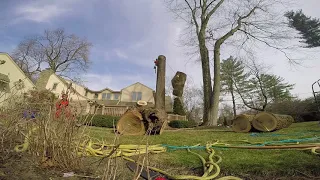 BIG WOOD, negative rigging large poplar, BREAKS pulley sling