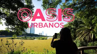 OASIS de BUENOS AIRES a bordo del RENAULT Kwid - E Tech 100% ELÉCTRICO 🌳🚗