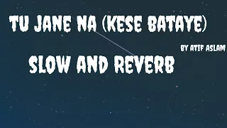 Tu Jane Naaa (Kese Bataye Kyu Tujko Paye ) {Slow And Reverb } @atifaslam [Hindi Romantic Song ❤️]