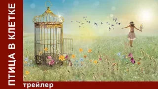 Птица в Клетке / Bird in a Cage. Трейлер. StarMedia. Мелодрама