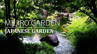 Small Japanese Garden Tour in TOKYO | MEJIRO GARDEN