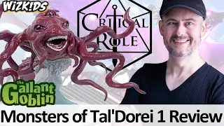 Monsters of Tal'Dorei 1 - D&D Critical Role WizKids Prepainted Minis