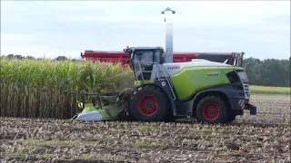 Ooms mais hakselen 2023 (2) , Claas Jaguar 970