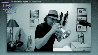 Solo Performance | The Best of Herb Alpert & The Tijuana Brass